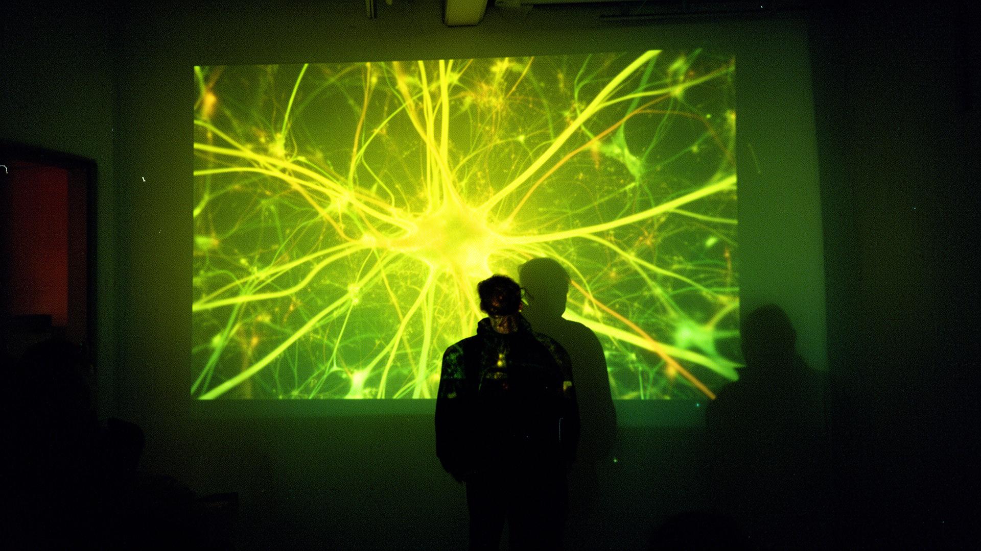 Neural network visualization